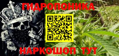 ПСИЛОЦИБИНОВЫЕ ГРИБЫ Гусиноозёрск