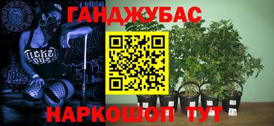 ГАЛЛЮЦИНОГЕННЫЕ ГРИБЫ Гусев