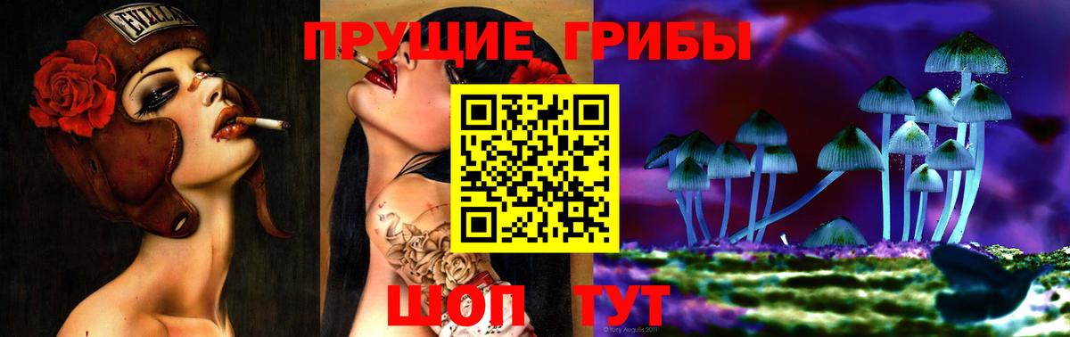 Галлюциногенные грибы мицелий Можга